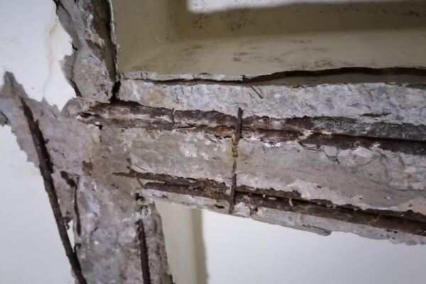 PHOTO-2023-01-26-16-07-22